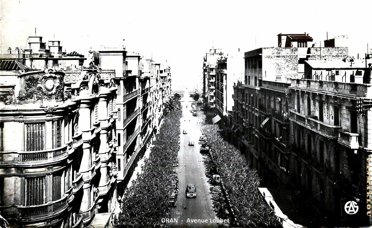 Oran - Avenue Loubet.jpg